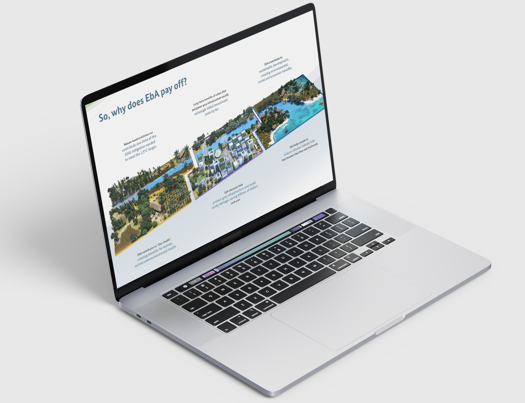 3D infographic overview – why EbA pays off