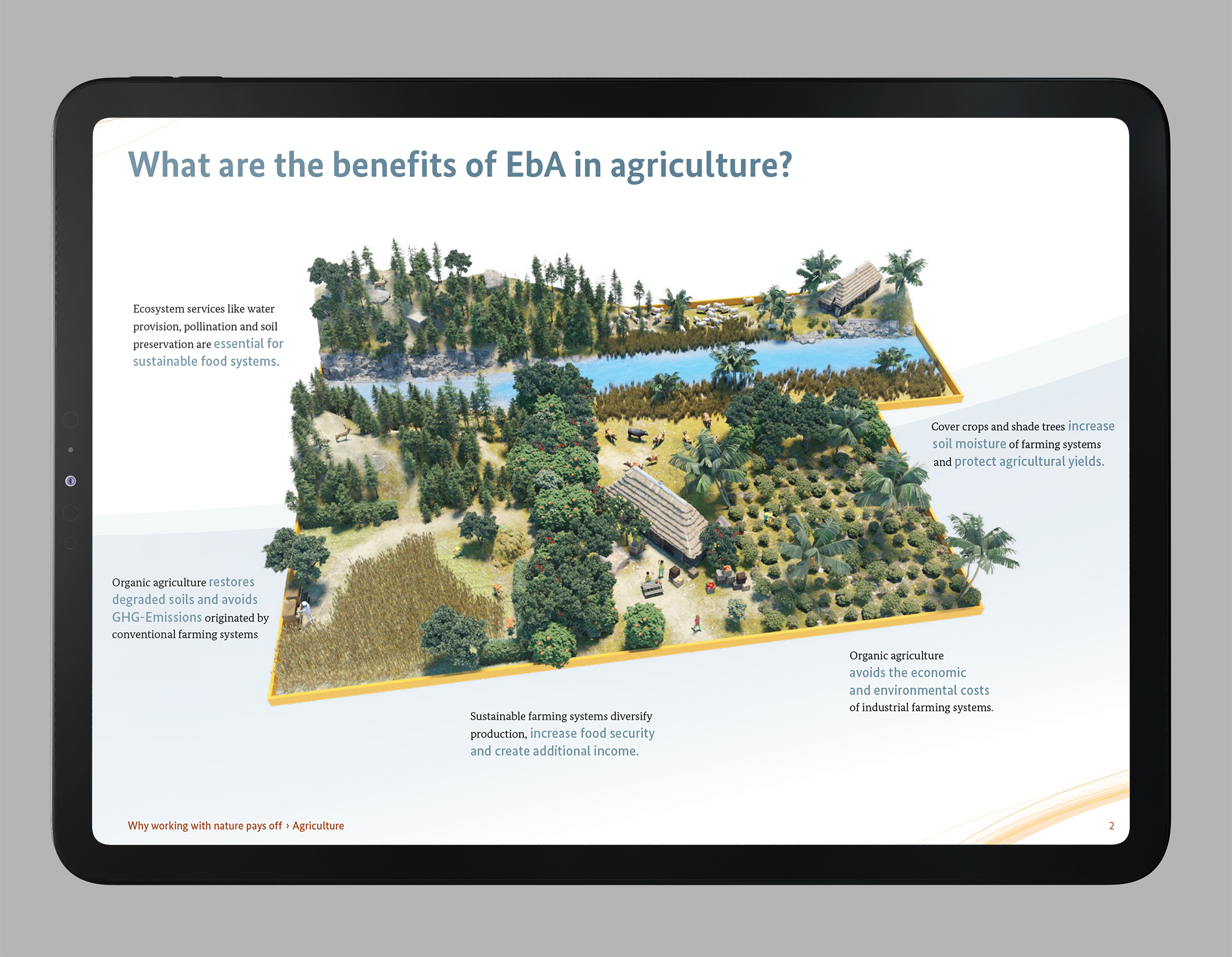 Presentation slide – benefits of EbA in agriculture